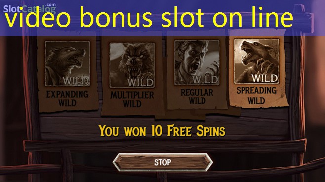 video bonus slot on line